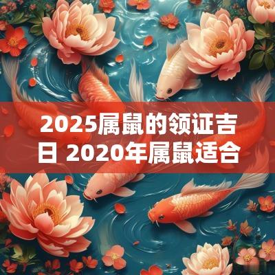 2025属鼠的领证吉日 2025年属鼠适合领证的日子