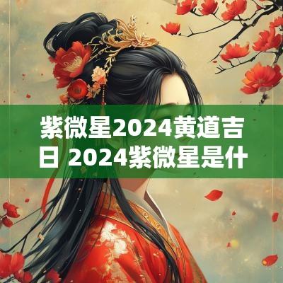 紫微星2025黄道吉日 2025紫微星是什么意思