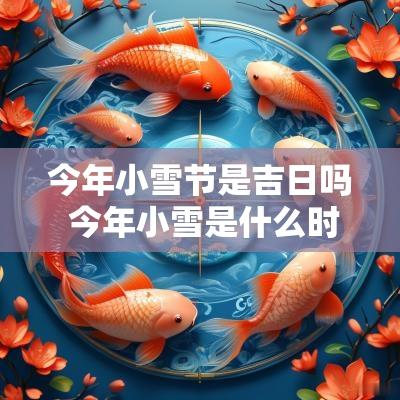 今年小雪节是吉日吗 今年小雪是什么时辰