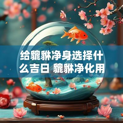 给貔貅净身选择什么吉日 貔貅净化用什么容器