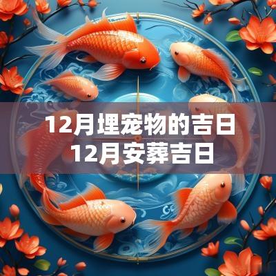 12月埋宠物的吉日 12月安葬吉日
