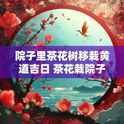 院子里茶花树移栽黄道吉日 茶花栽院子里风水好吗