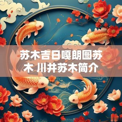 苏木吉日嘎朗图苏木 川井苏木简介