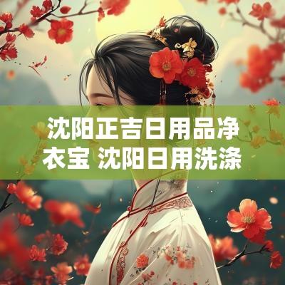 沈阳正吉日用品净衣宝 沈阳日用洗涤产品批发