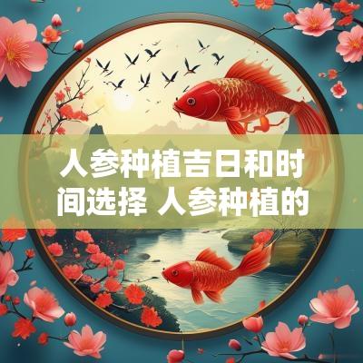 人参种植吉日和时间选择 人参种植的最佳时间