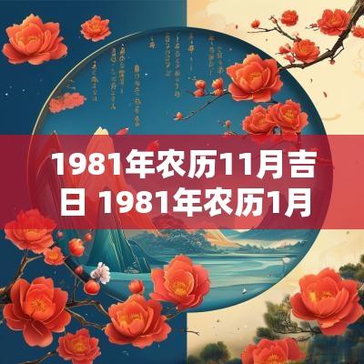 1981年农历11月吉日 1981年农历1月11日阳历是多少