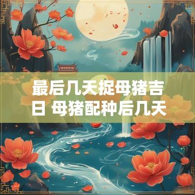 最后几天捉母猪吉日 母猪配种后几天查返情