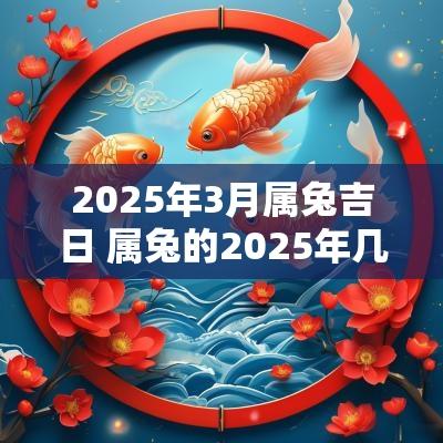 2025年3月属兔吉日 属兔的2025年几月结婚最好