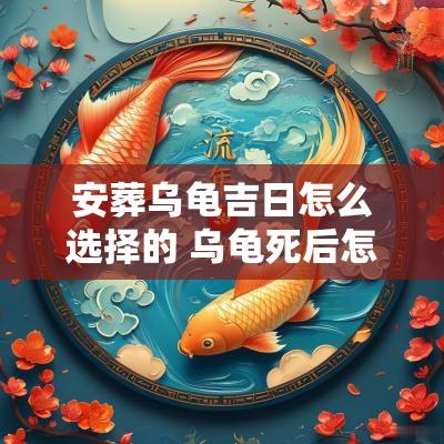 安葬乌龟吉日怎么选择的 乌龟死后怎么安葬