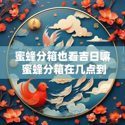 蜜蜂分箱也看吉日嘛 蜜蜂分箱在几点到几点