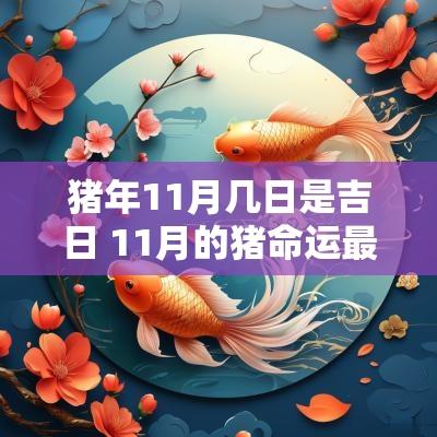 猪年11月几日是吉日 11月的猪命运最好