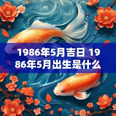 1986年5月吉日 1986年5月出生是什么命运