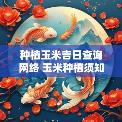 种植玉米吉日查询网络 玉米种植须知