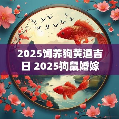 2025饲养狗黄道吉日 2025狗鼠婚嫁