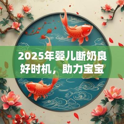 2025年婴儿断奶良好时机，助力宝宝健康成长