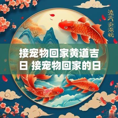 接宠物回家黄道吉日 接宠物回家的日子