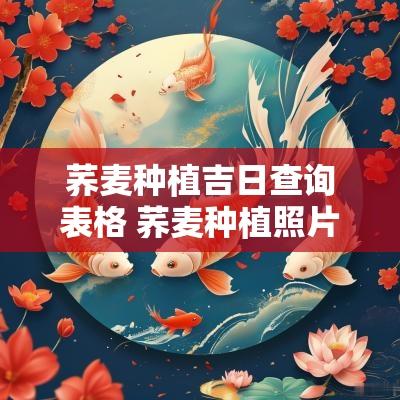 荞麦种植吉日查询表格 荞麦种植照片
