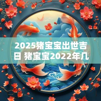 2025猪宝宝出世吉日 猪宝宝2025年几月出生最好