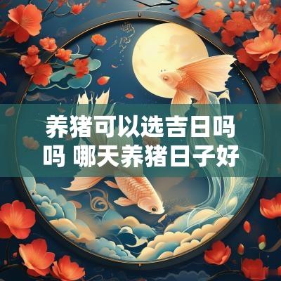 养猪可以选吉日吗吗 哪天养猪日子好