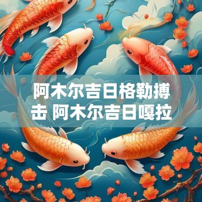 阿木尔吉日格勒搏击 阿木尔吉日嘎拉ufc