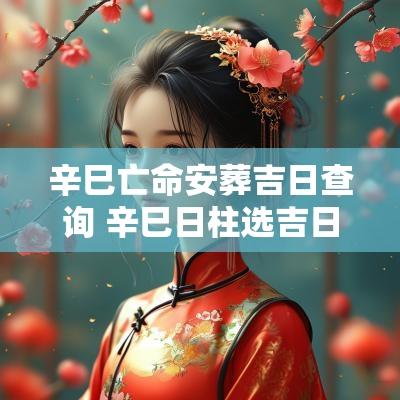 辛巳亡命安葬吉日查询 辛巳日柱选吉日