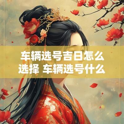 车辆选号吉日怎么选择 车辆选号什么时间选最好