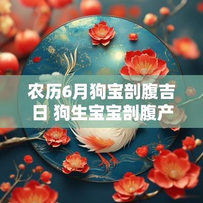农历6月狗宝剖腹吉日 狗生宝宝剖腹产