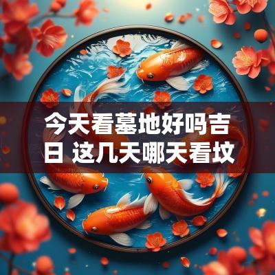 今天看墓地好吗吉日 这几天哪天看坟地日子好