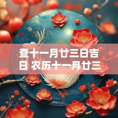 查十一月廿三日吉日 农历十一月廿三日是吉日吗