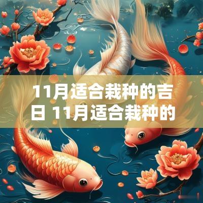 11月适合栽种的吉日 11月适合栽种的果树