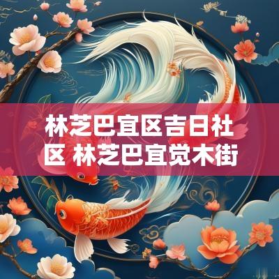 林芝巴宜区吉日社区 林芝巴宜觉木街道活动