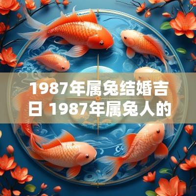 1987年属兔结婚吉日 1987年属兔人的结婚配对