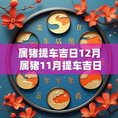 属猪提车吉日12月 属猪11月提车吉日一览表