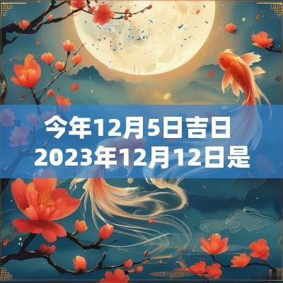 今年12月5日吉日 2025年12月12日是黄道吉日