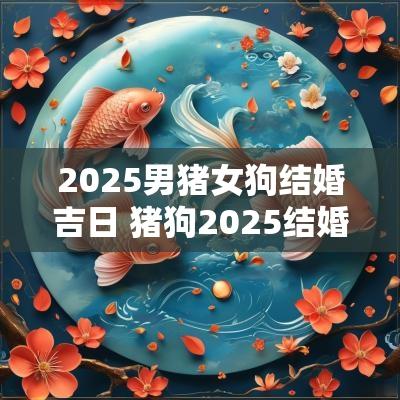 2025男猪女狗结婚吉日 猪狗2025结婚吉日