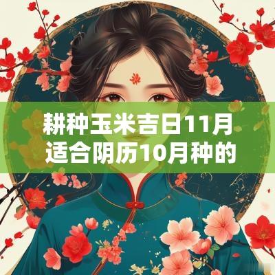 耕种玉米吉日11月 适合阴历10月种的农作物