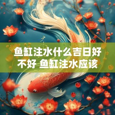 鱼缸注水什么吉日好不好 鱼缸注水应该在哪里注水