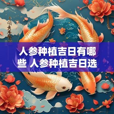 人参种植吉日有哪些 人参种植吉日选择什么