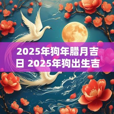 2025年狗年腊月吉日 2025年狗出生吉日吉时
