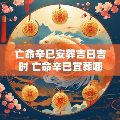 亡命辛巳安葬吉日吉时 亡命辛巳宜葬哪个方向