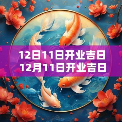 12日11日开业吉日 12月11日开业吉日