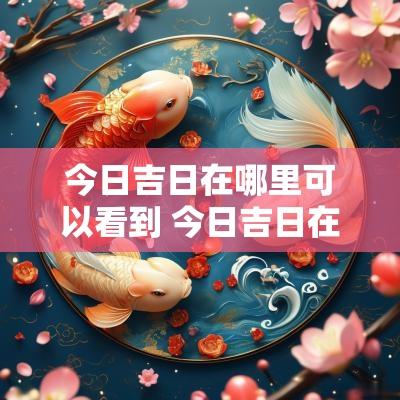 今日吉日在哪里可以看到 今日吉日在哪里可以看