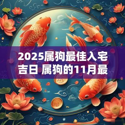 2025属狗最佳入宅吉日 属狗的11月最佳入宅吉日