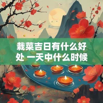 栽菜吉日有什么好处 一天中什么时候栽菜最好
