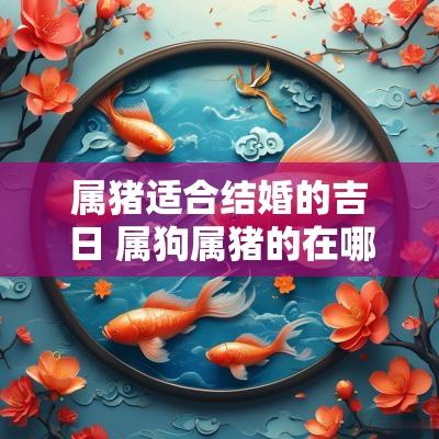 属猪适合结婚的吉日 属狗属猪的在哪年结婚吉日