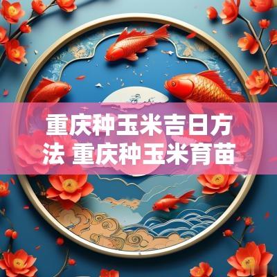 重庆种玉米吉日方法 重庆种玉米育苗方法