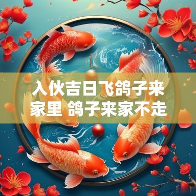 入伙吉日飞鸽子来家里 鸽子来家不走了吉凶