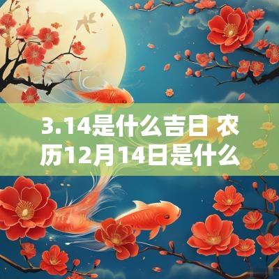 3.14是什么吉日 农历12月14日是什么吉日