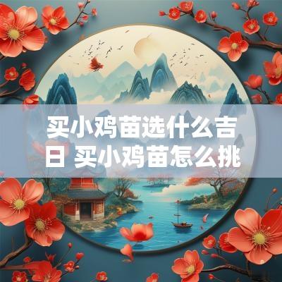 买小鸡苗选什么吉日 买小鸡苗怎么挑选