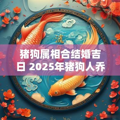猪狗属相合结婚吉日 2025年猪狗人乔迁吉日